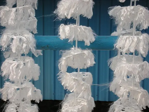 ���ʽ˫������